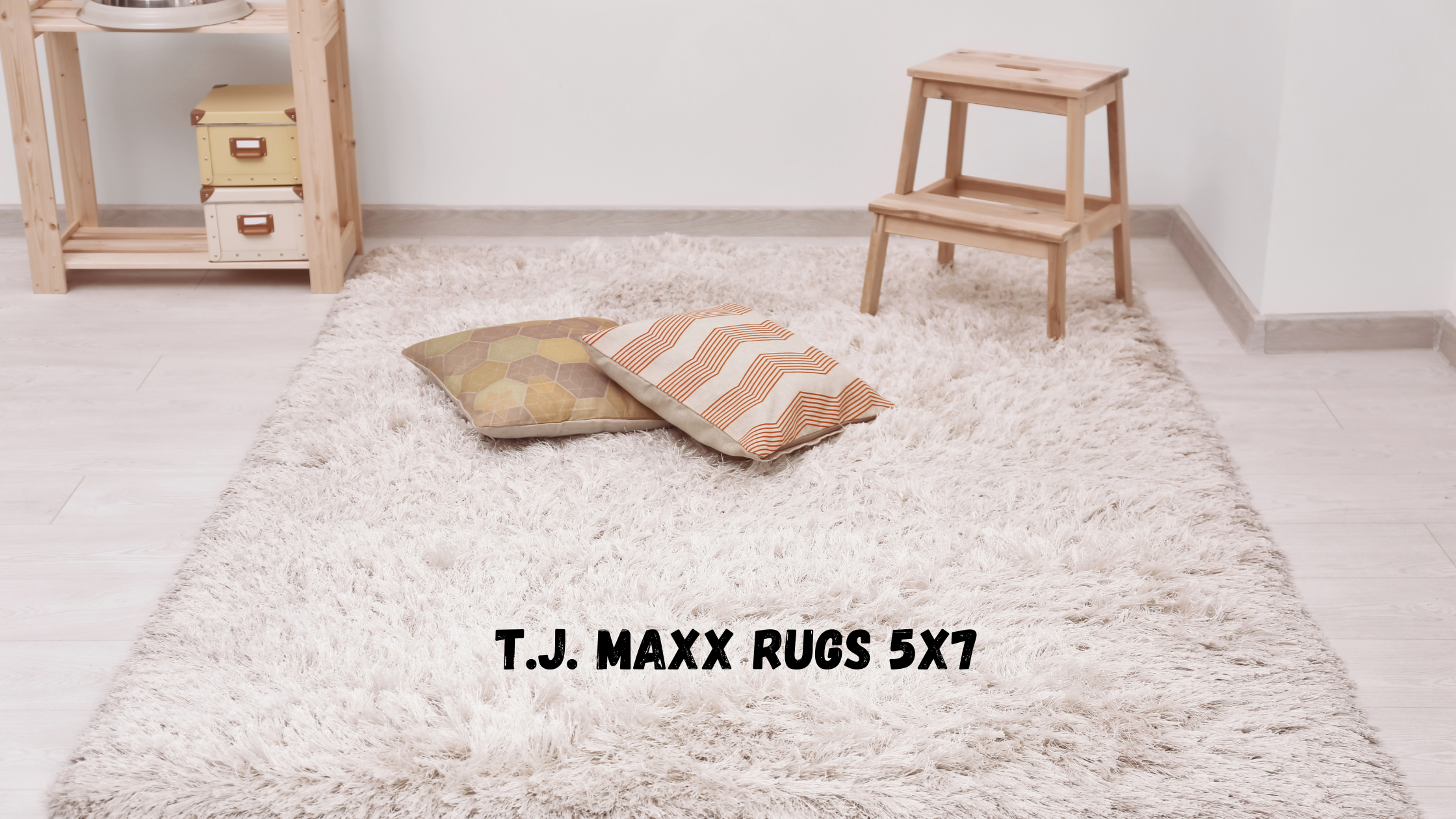 T.J. Maxx Rugs 5x7