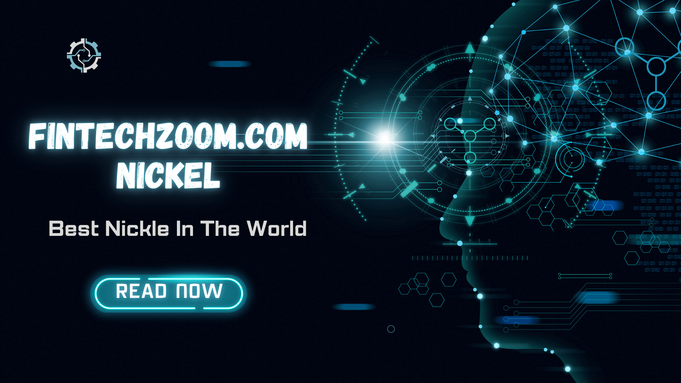 FintechZoom.com Nickel