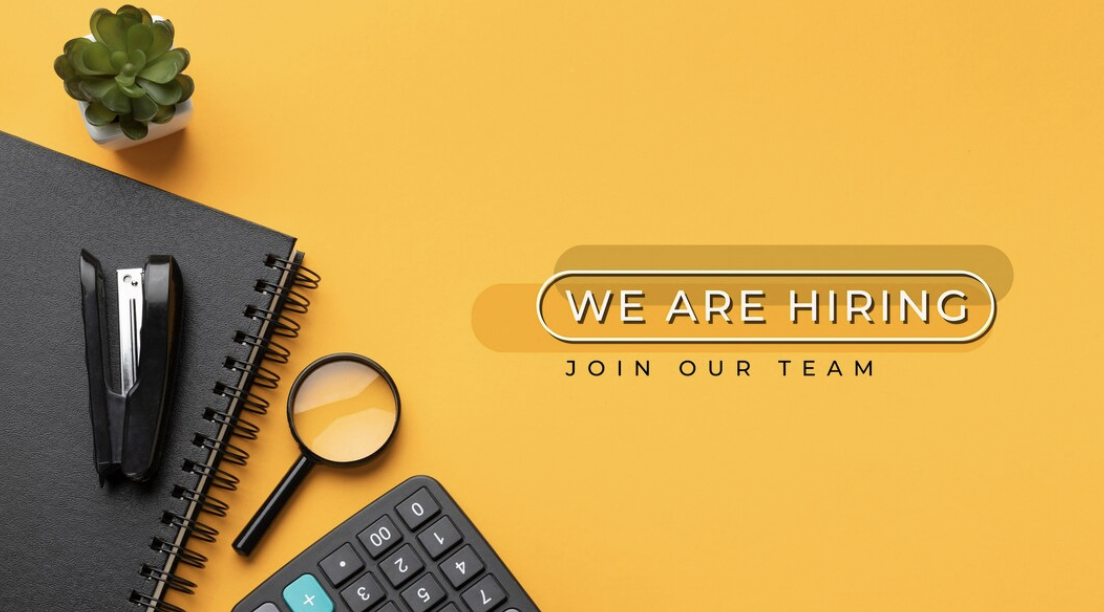 Remote Python Developer