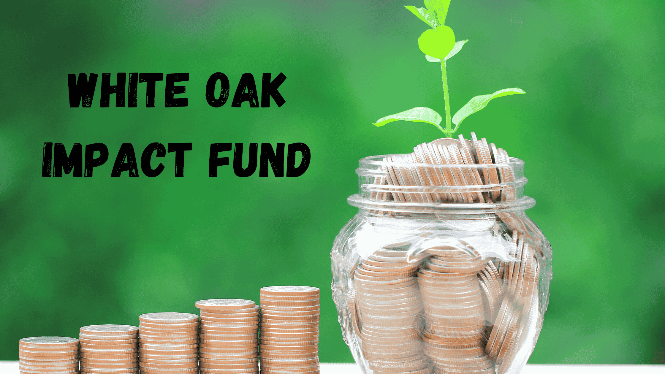white oak impact fund