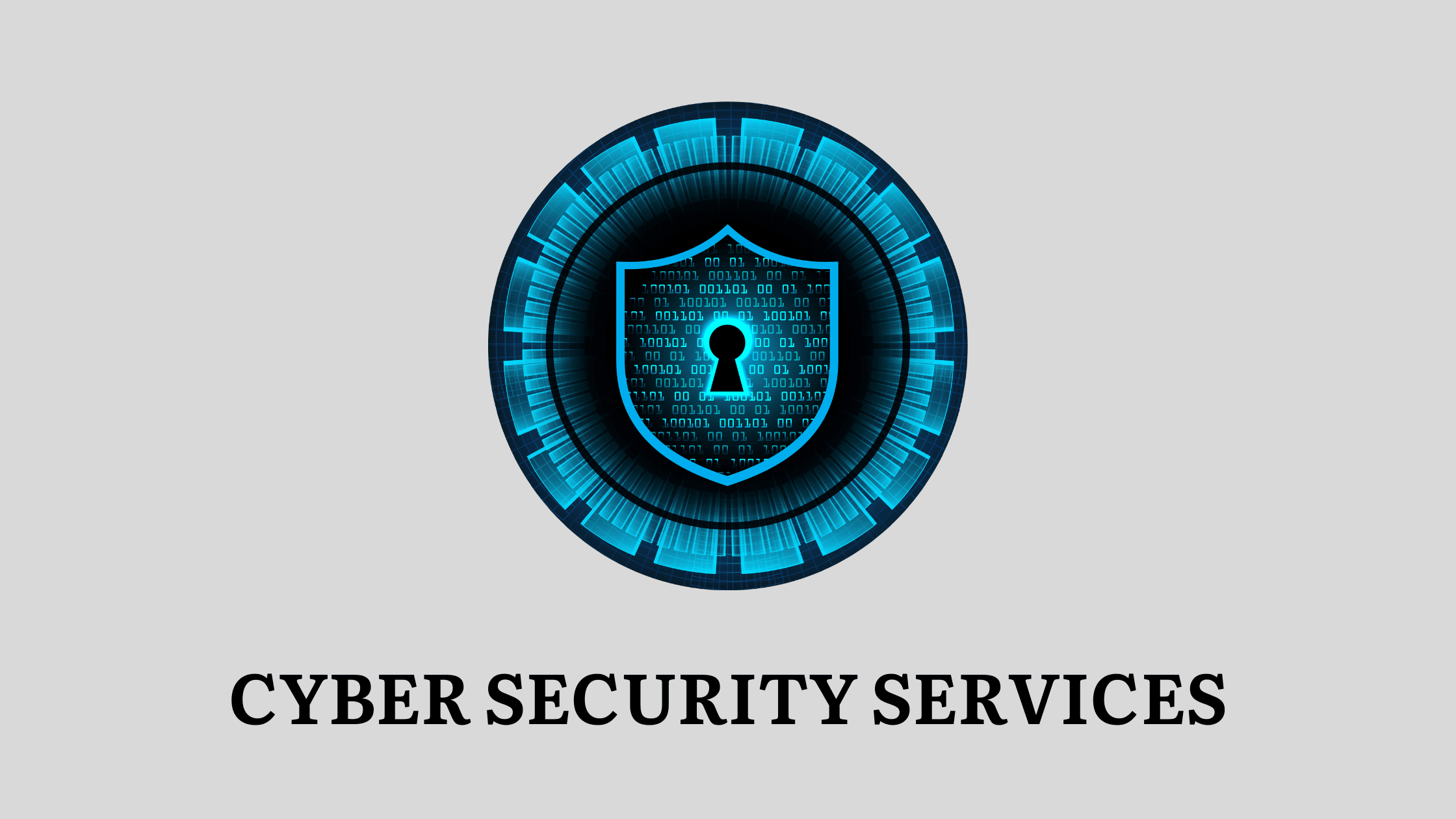 Cyber Security Services