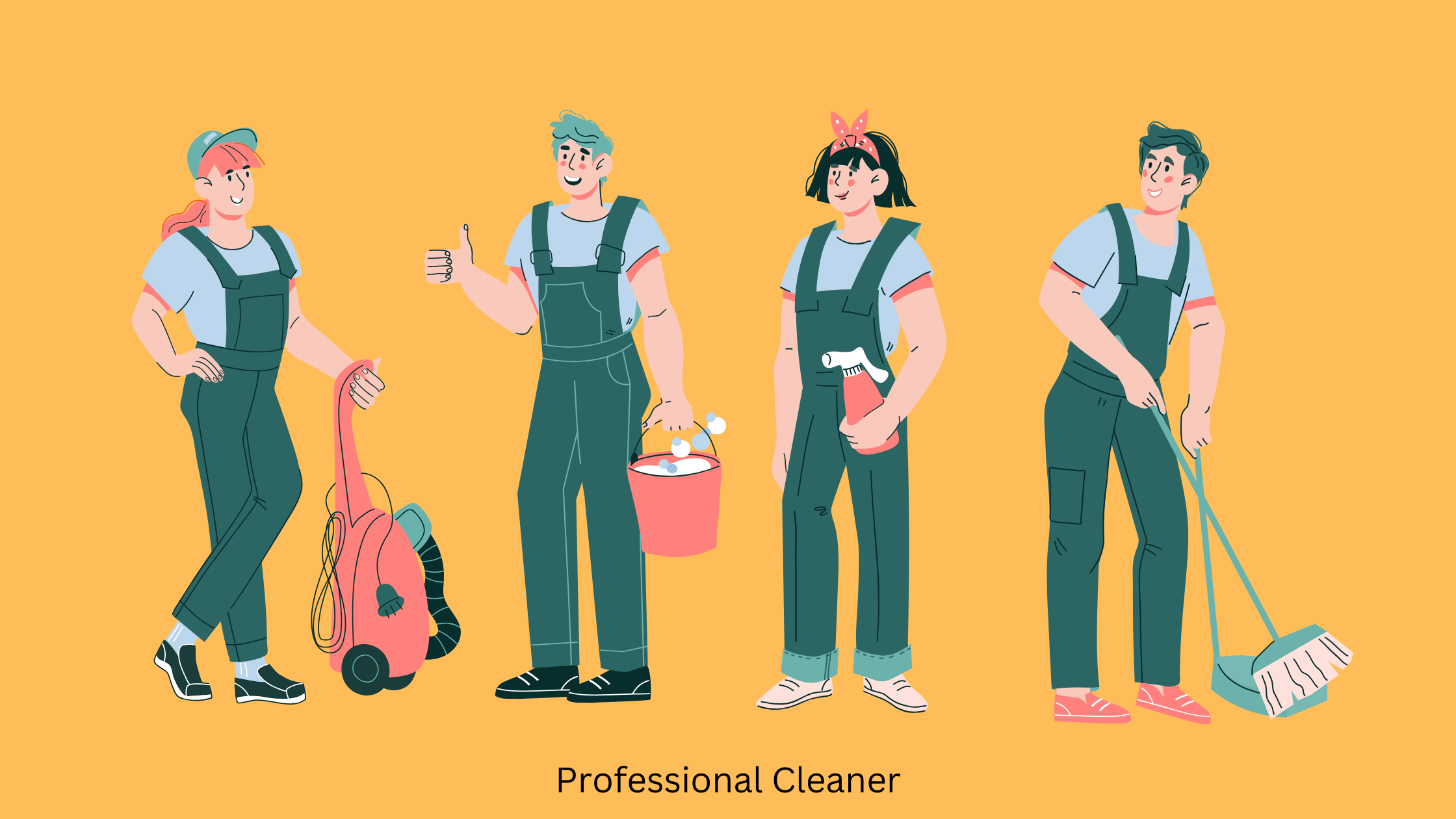 Professional Cleaner