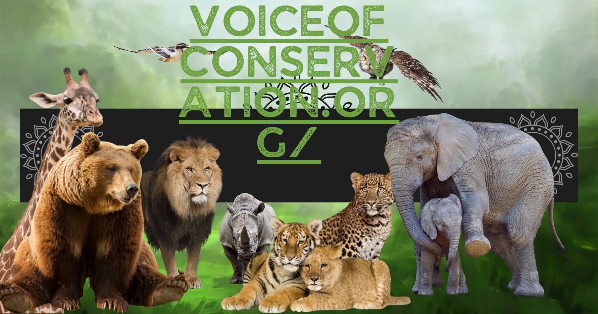 voiceofconservation.org/