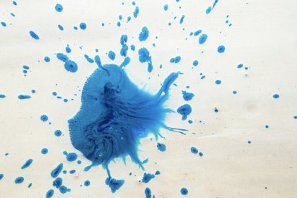 professional laundry services