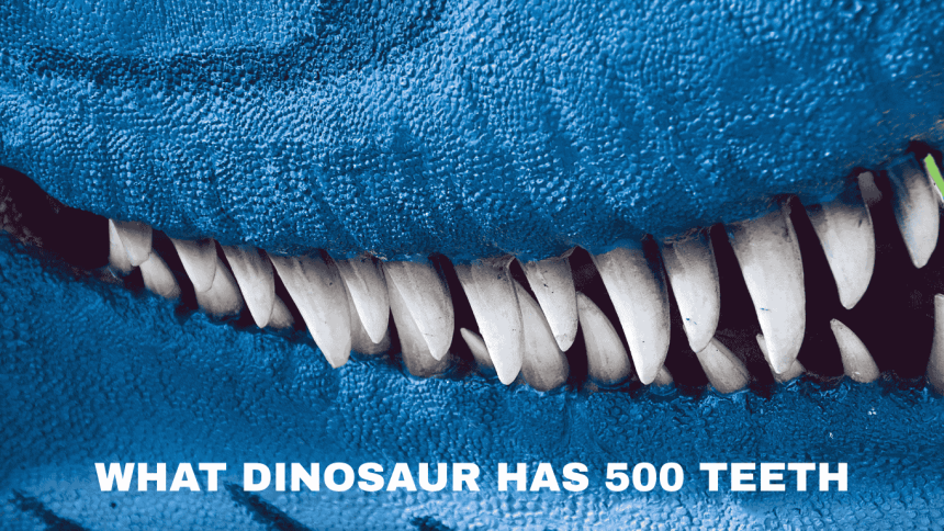 what dinosaur has 500 teeth