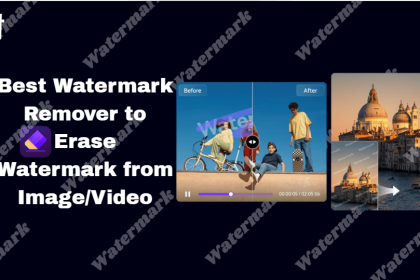 Best Watermark Remover